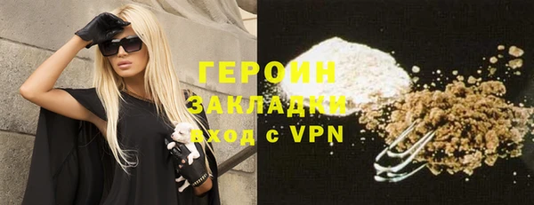 хмурый Алексин