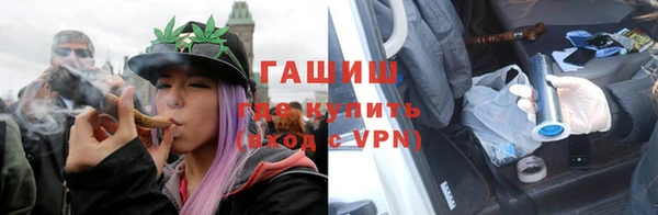 хмурый Алексин