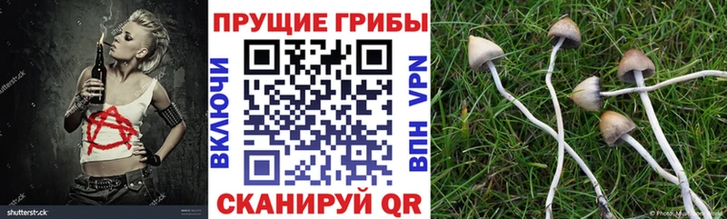 Галлюциногенные грибы Cubensis  наркошоп  Микунь 